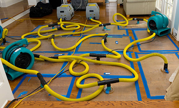Professional Structural Drying And Dehumidification technician working in Reliance, TN